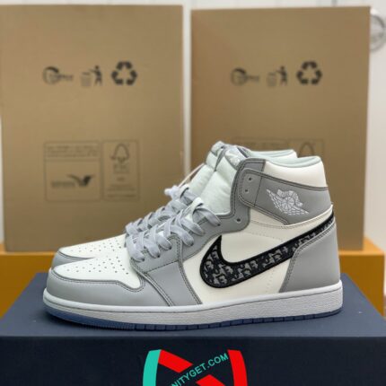 DIOR x NIKE JORDAN 1 Sneaker