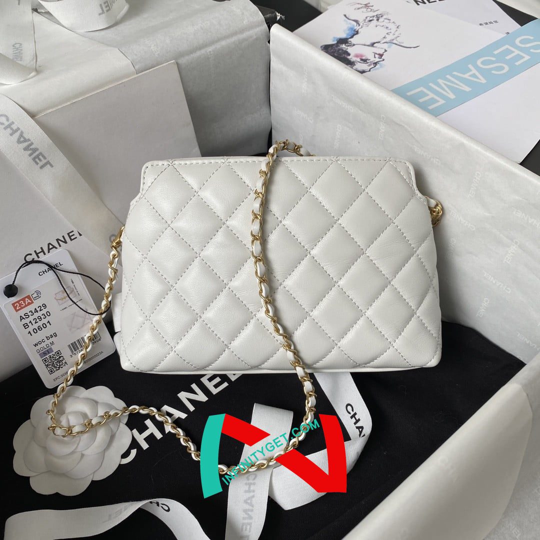 Chanel 23A Golden Little Lion Chain Bag AP3429. Top Quality   Size: 19 * 13 * 8cm
